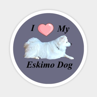 Love for an American Eskimo Dog Magnet